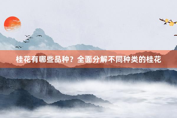桂花有哪些品种？全面分解不同种类的桂花